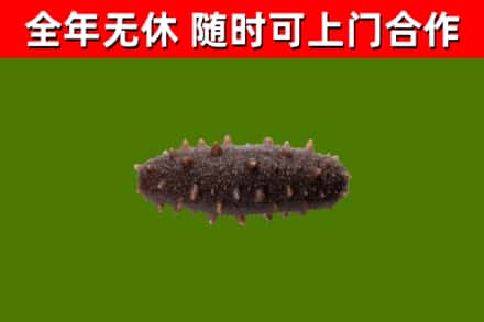 南京市烟酒回收干海参.jpg